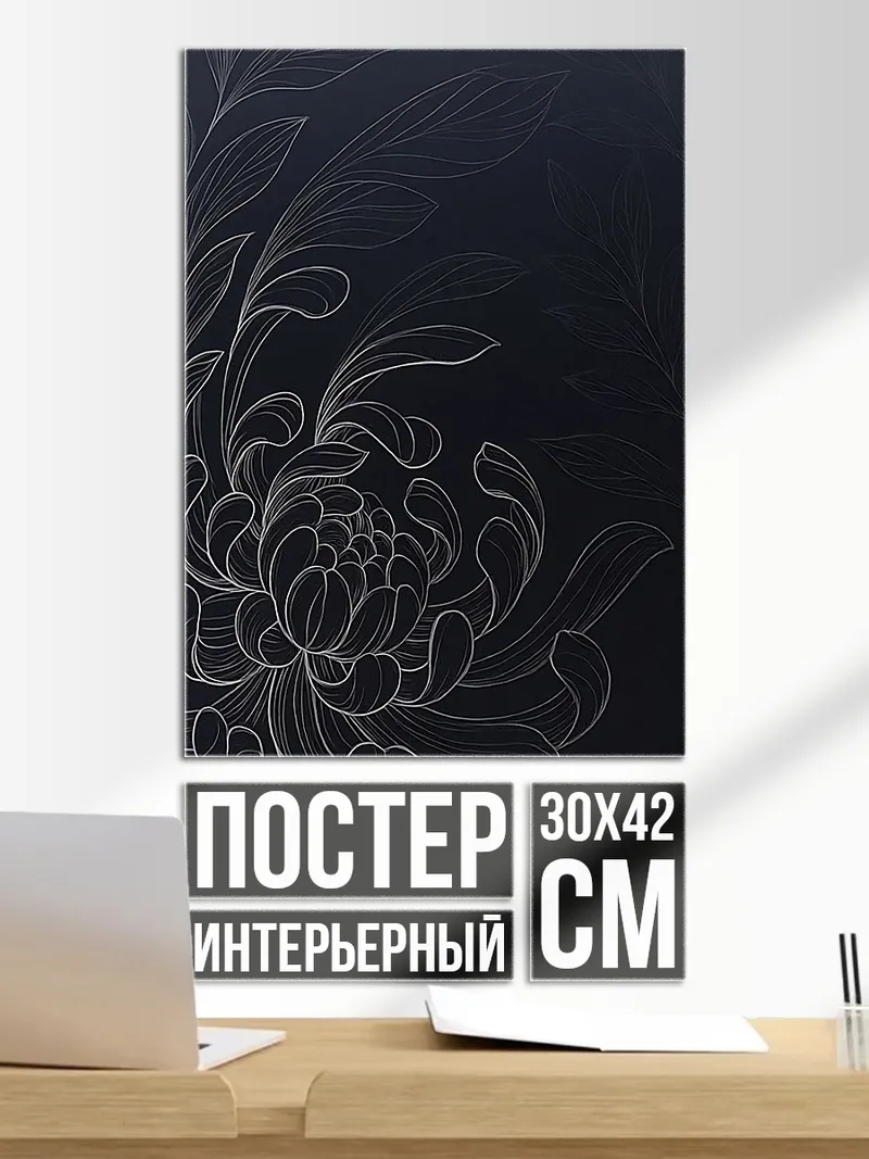 Постер Цветок хризантемы контур