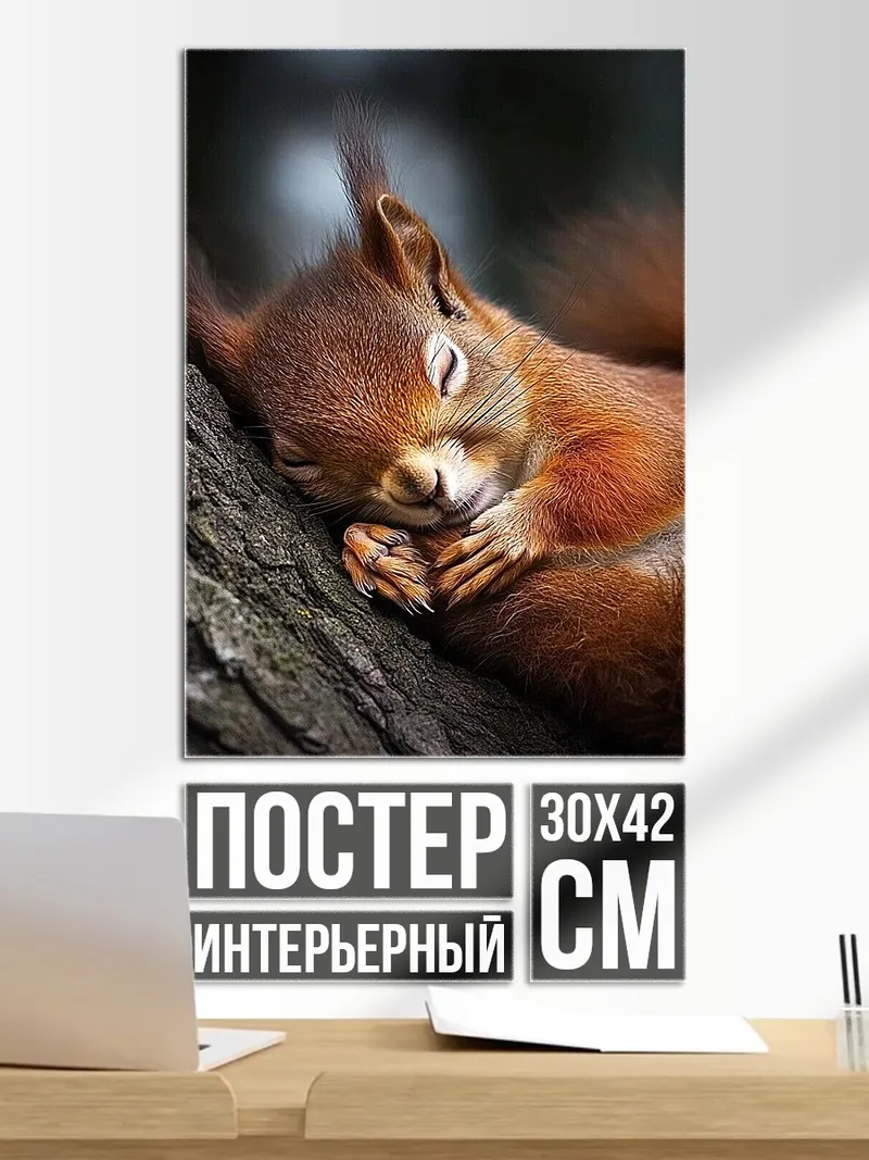 Постер Спящая белка на дереве