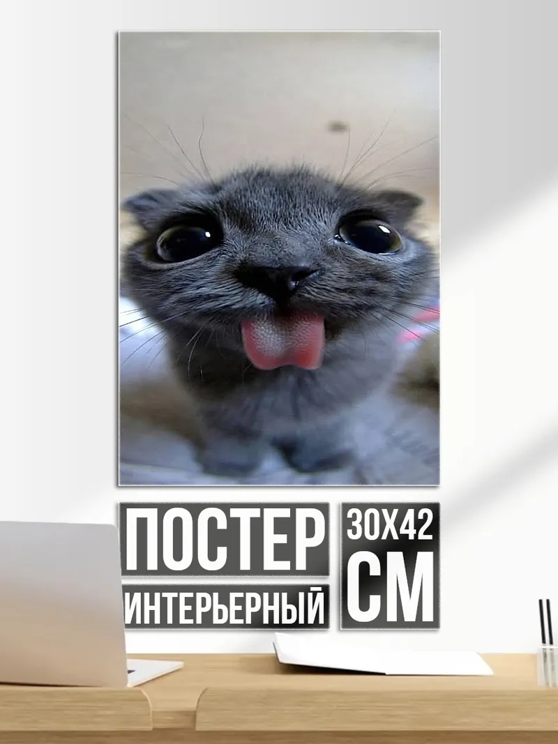 Постер Кот с высунутым языком