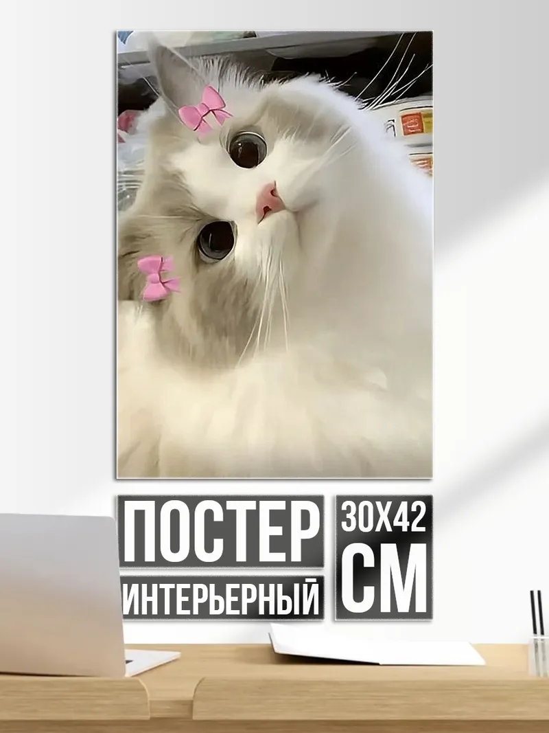 Постер Пушистый кот с бантиками