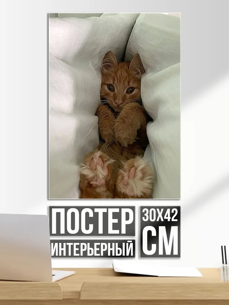 Постер Рыжий котенок в подушках