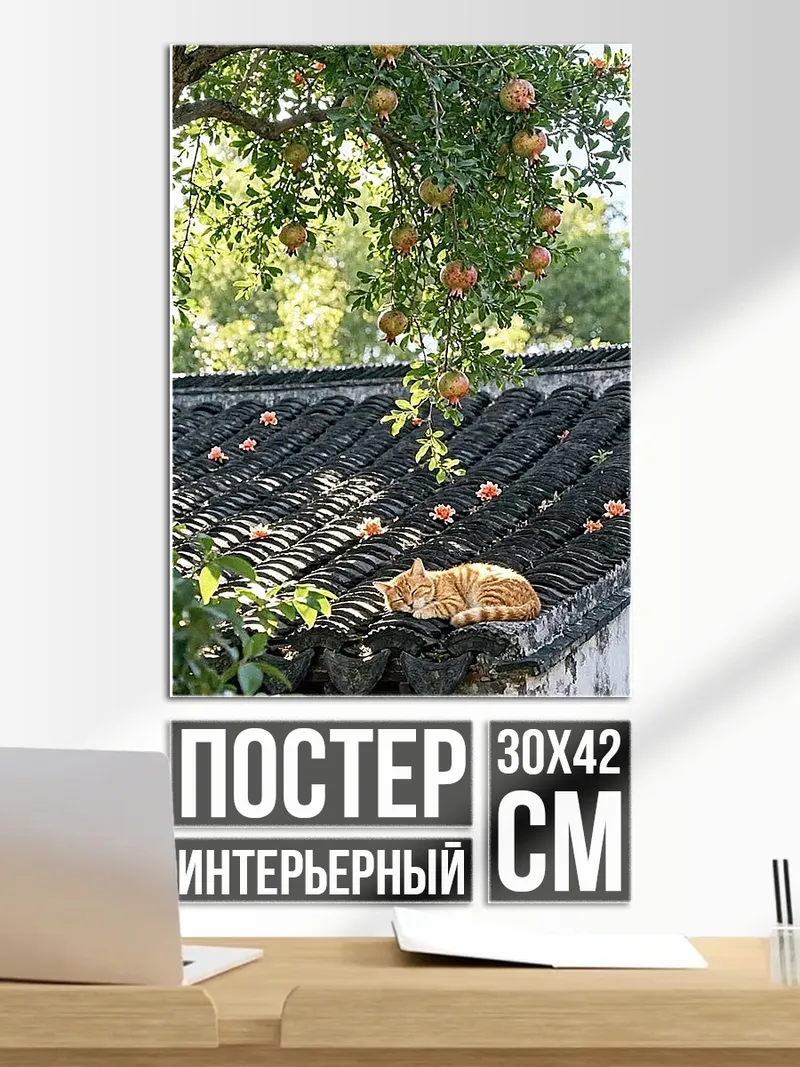 Постер Рыжий кот на крыше
