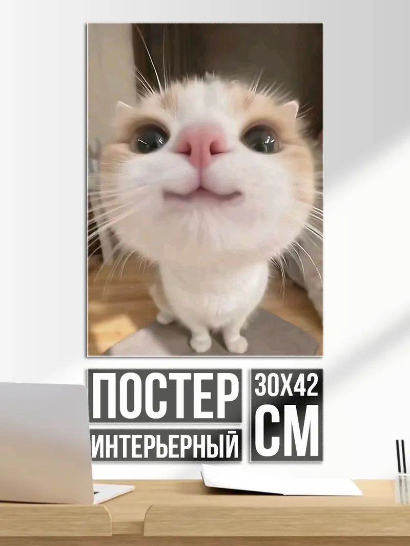 Постер Кот крупным планом