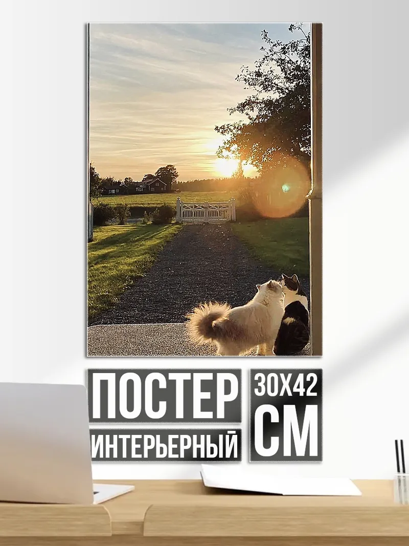 Постер Кот на закате