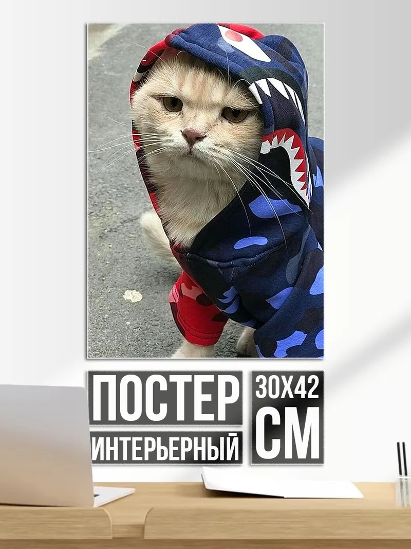 Постер Кот в худи