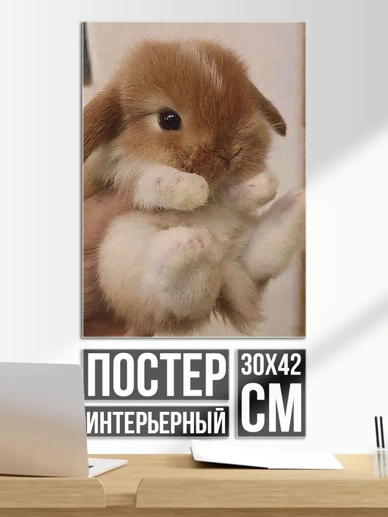 Постер Милый кролик в руках