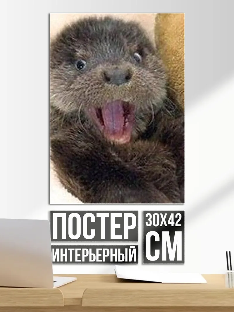 Постер Удивленный выдронок