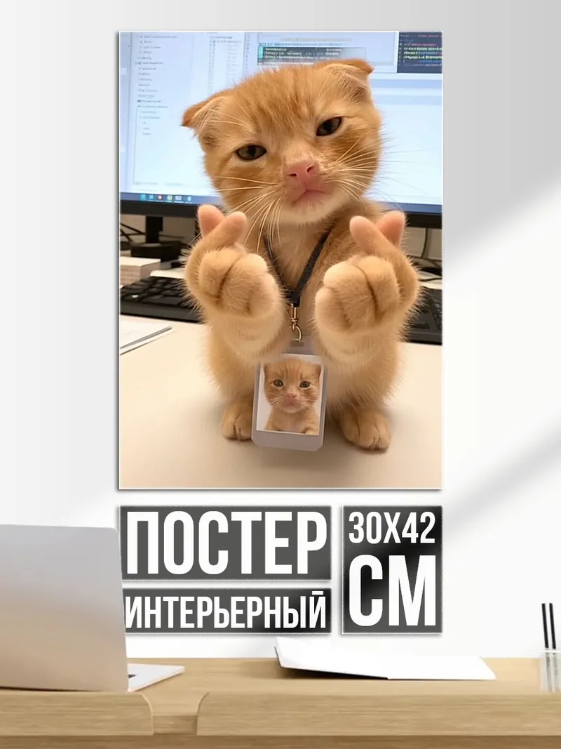 Постер Кот делает сердечко