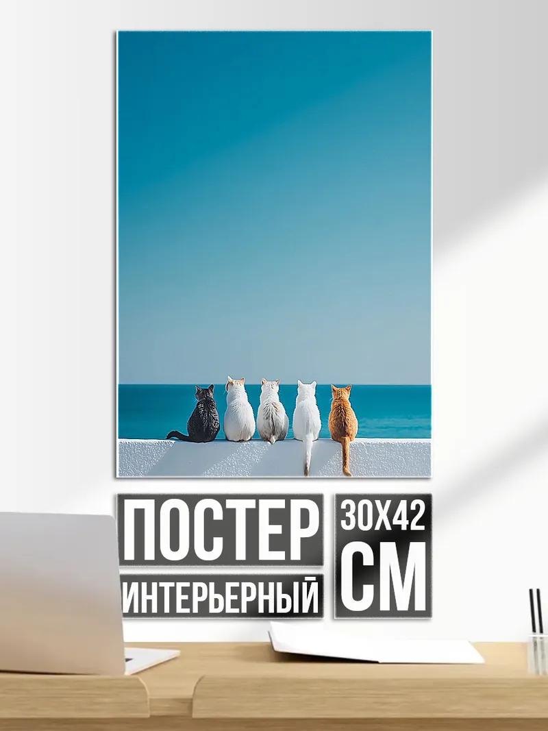 Постер Коты на берегу