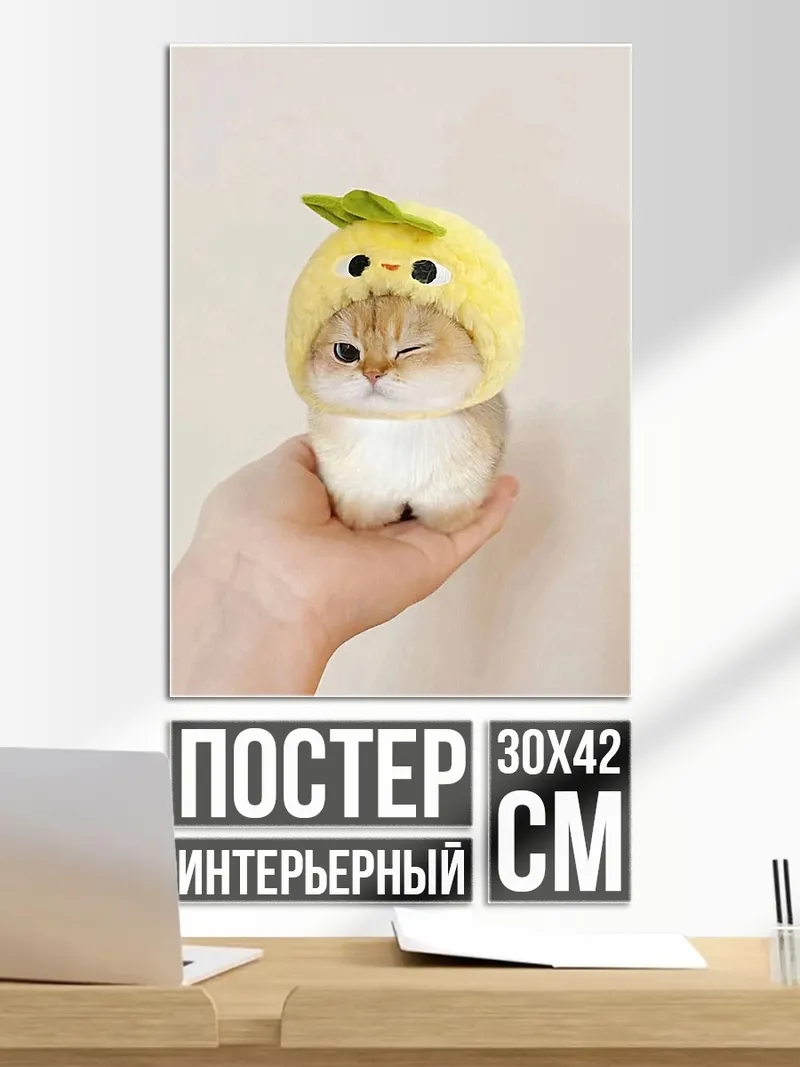 Постер Кот в шапке