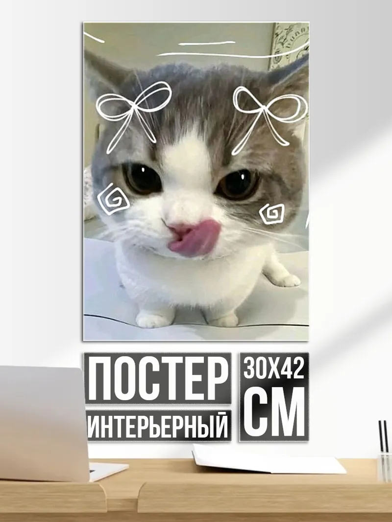 Постер Милый котик