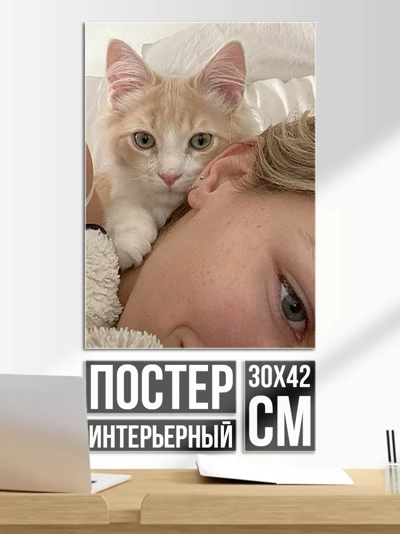 Постер Кот на голове
