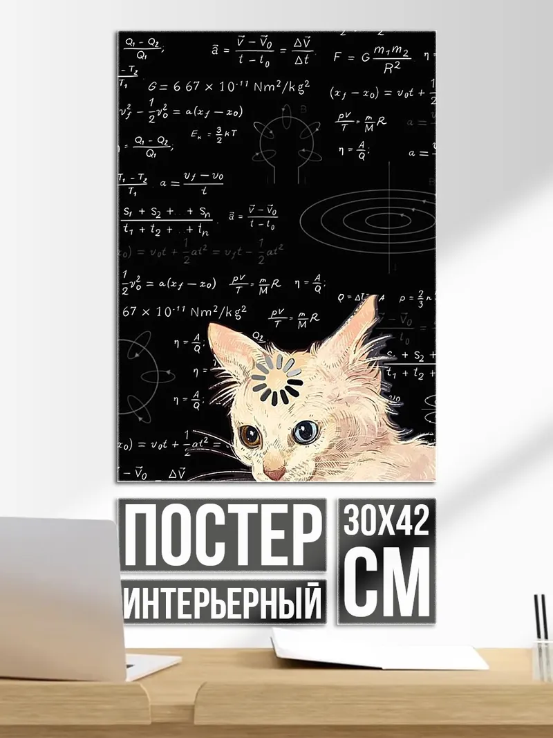 Постер Кот и формулы