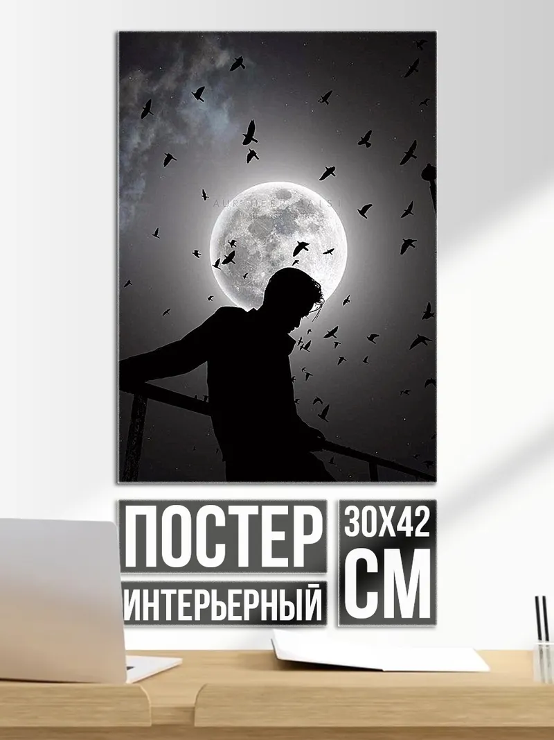 Постер Силуэт парня и птицы