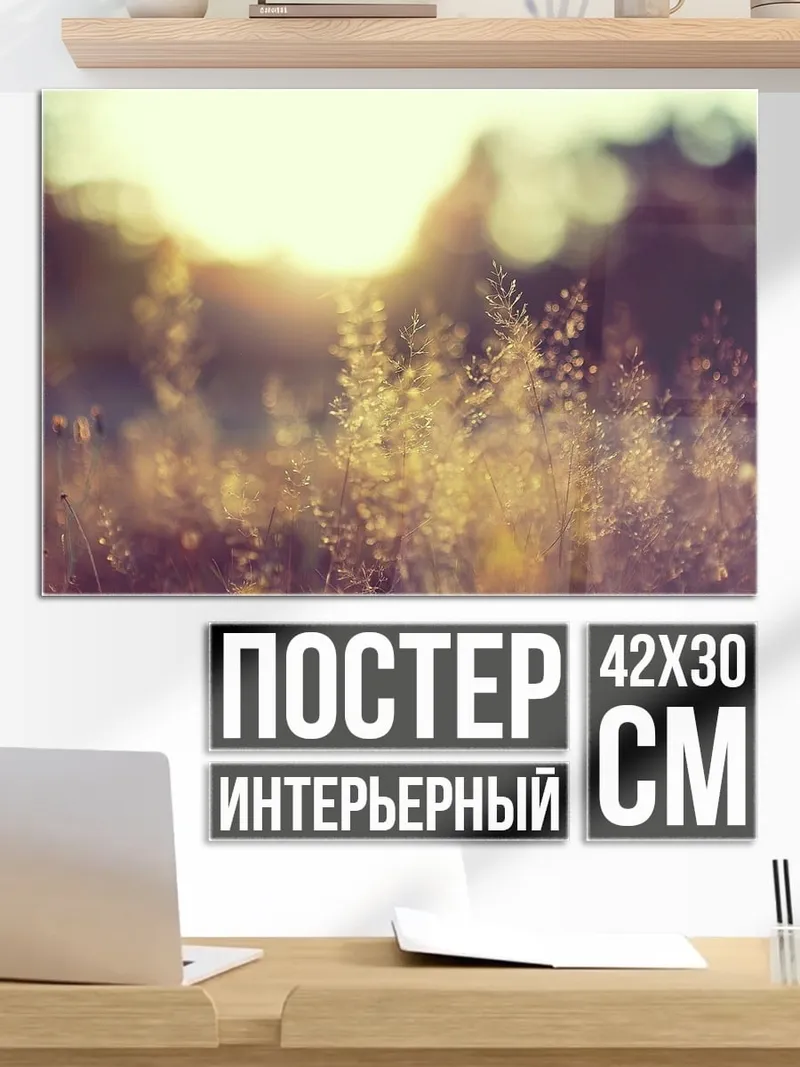 Постер Золотое поле травы