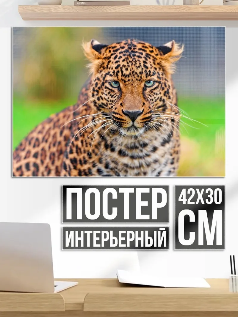 Постер Леопард в природе
