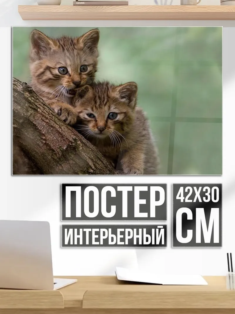 Постер Два диких котенка