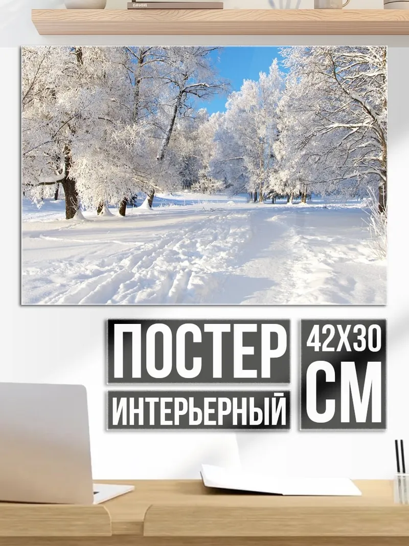 Постер Зимний лес