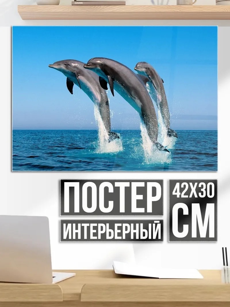 Постер Прыгающие дельфины