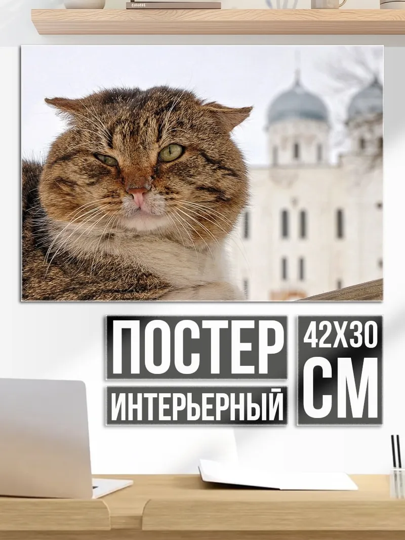 Постер Кот у собора