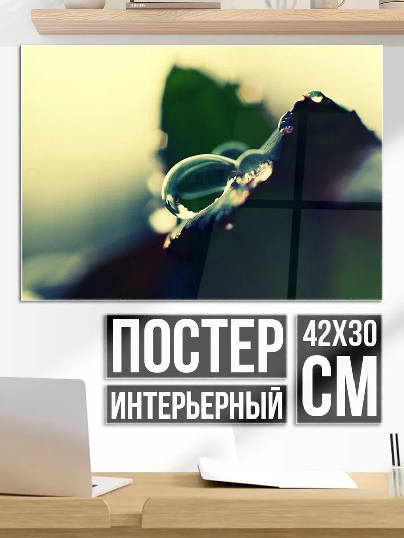 Постер Капля на листе
