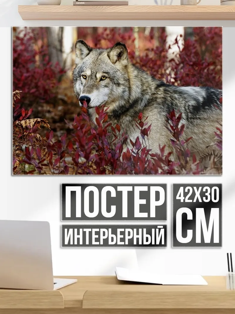 Постер Волк в кустах