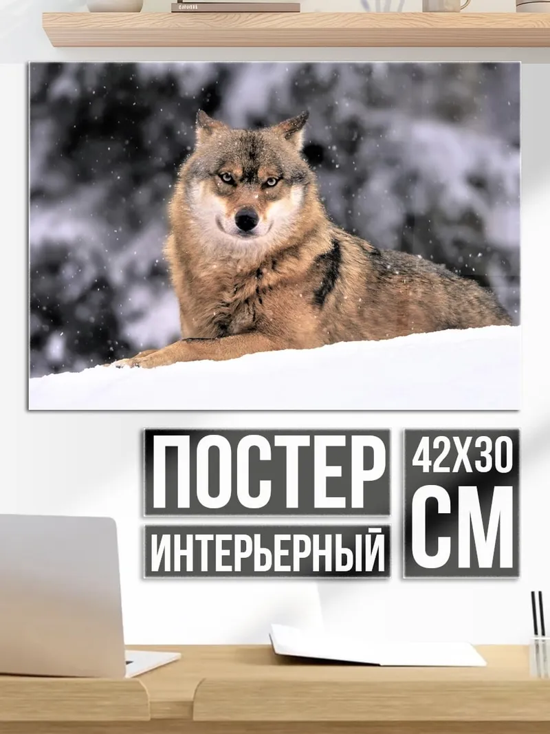 Постер Волк в снегу