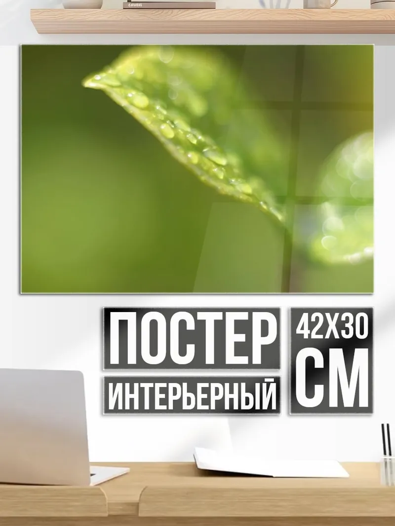 Постер Капли на листе