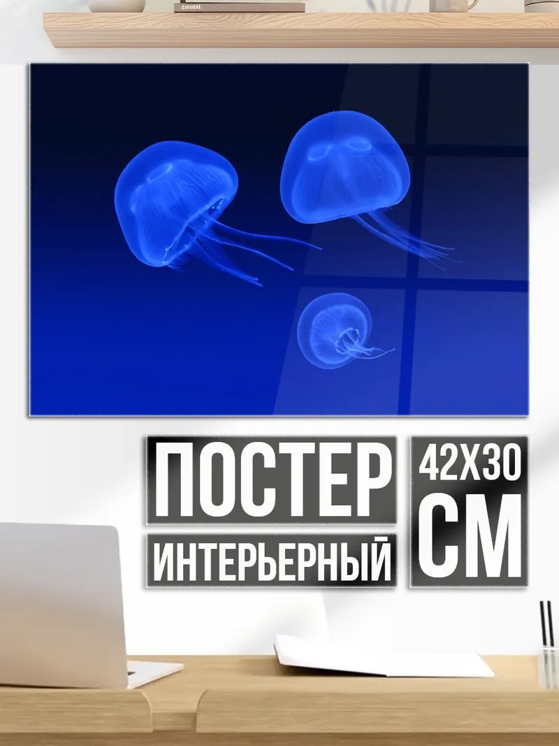 Постер Синие медузы