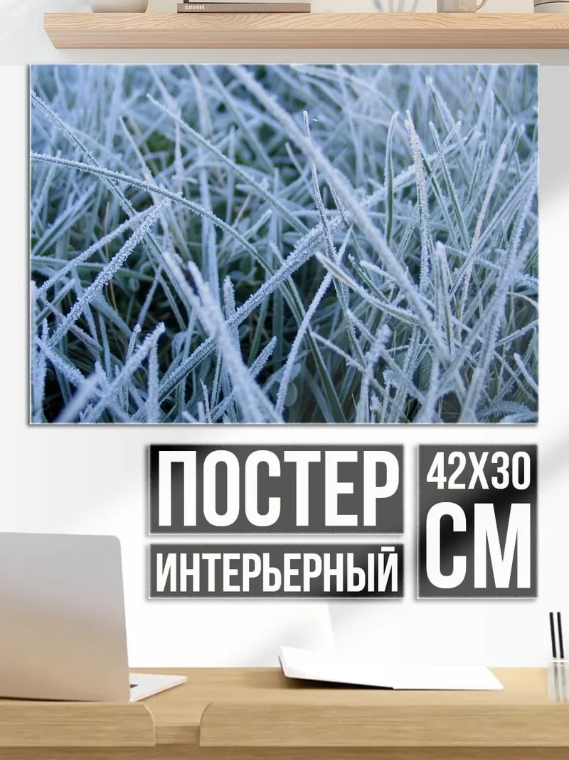 Постер Трава в инее