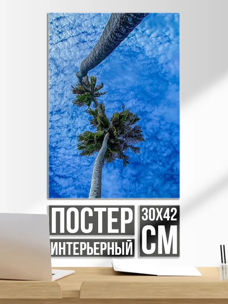 Постер Пальмы под небом