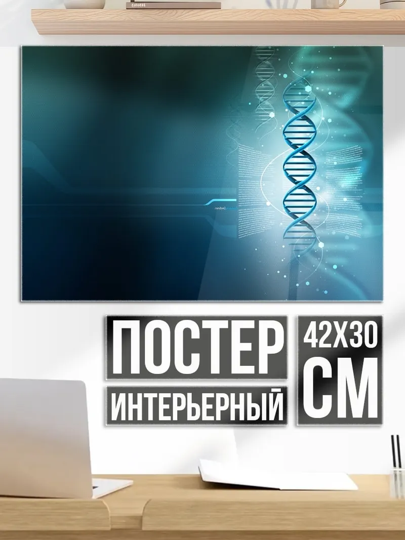 Постер ДНК спираль