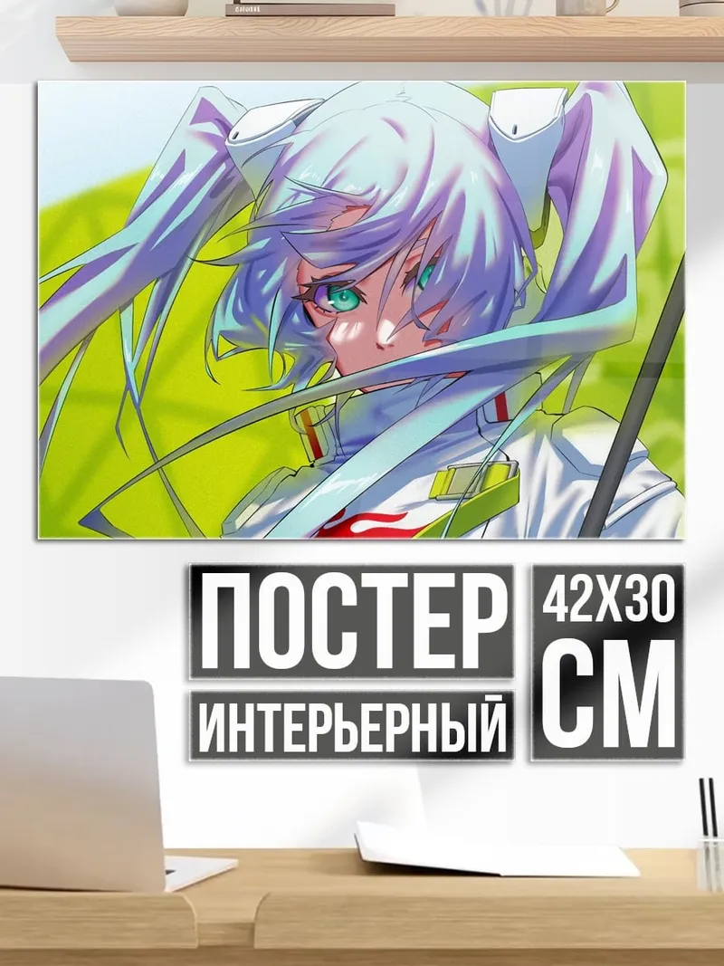 Постер Девушка гонщица