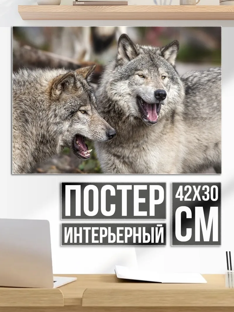 Постер Два волка