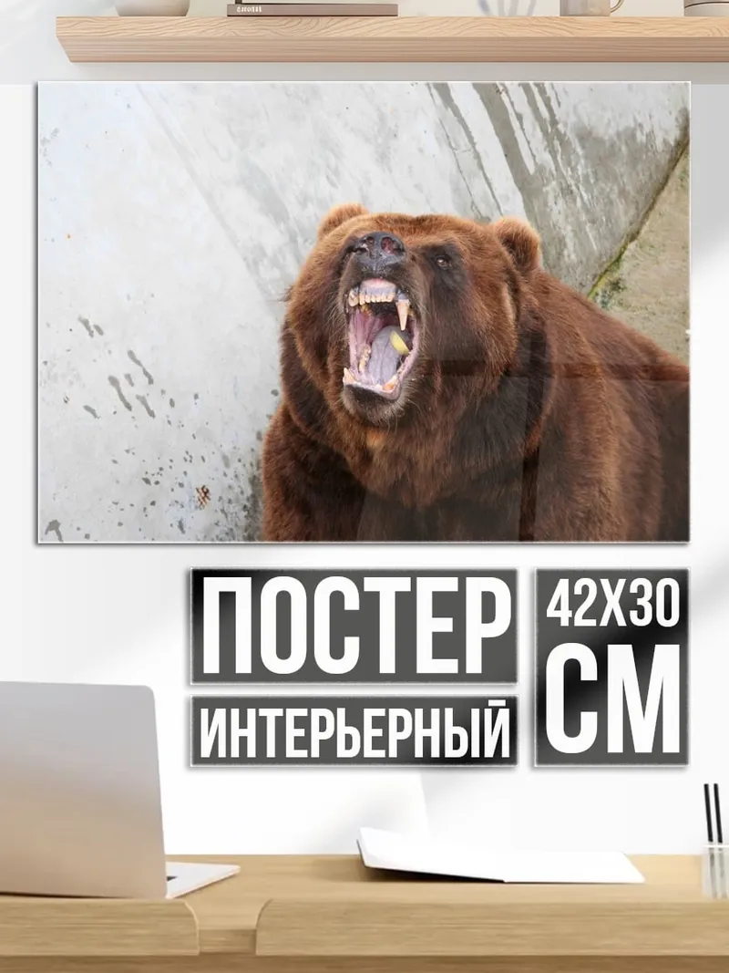 Постер Рычащий медведь