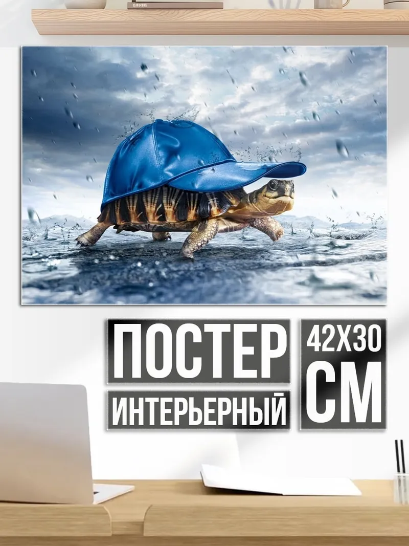 Постер Черепаха в кепке
