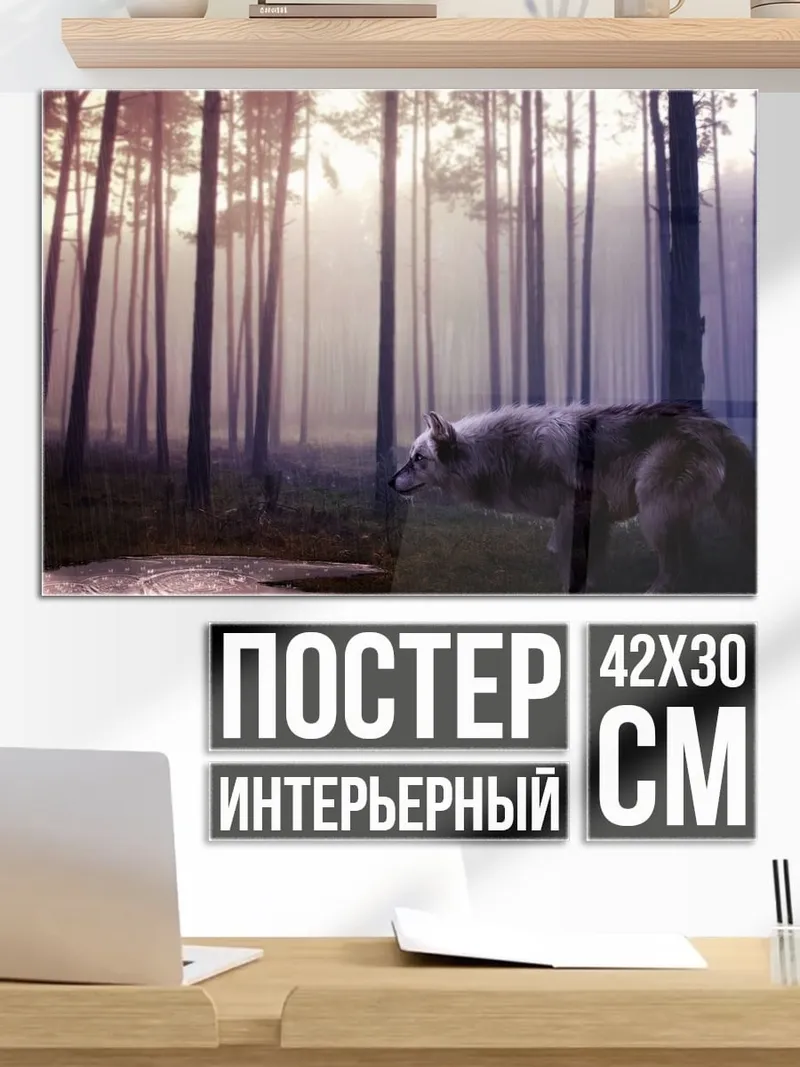 Постер Волк в лесу