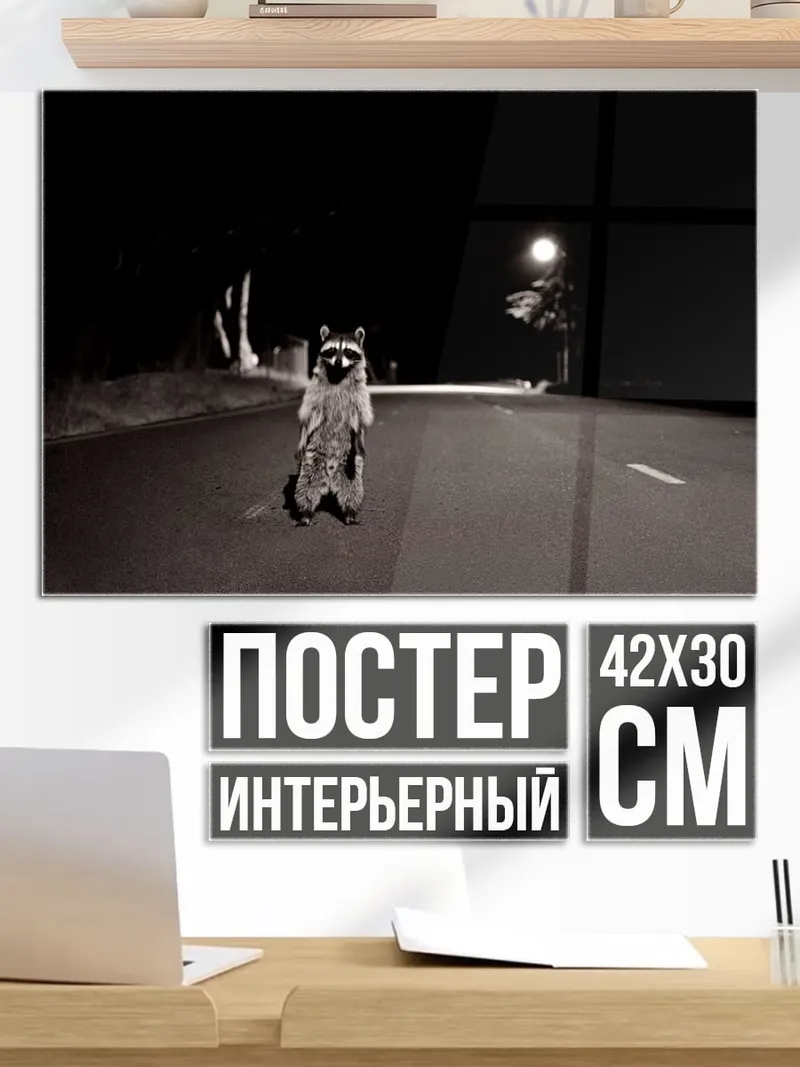 Постер Енот на дороге