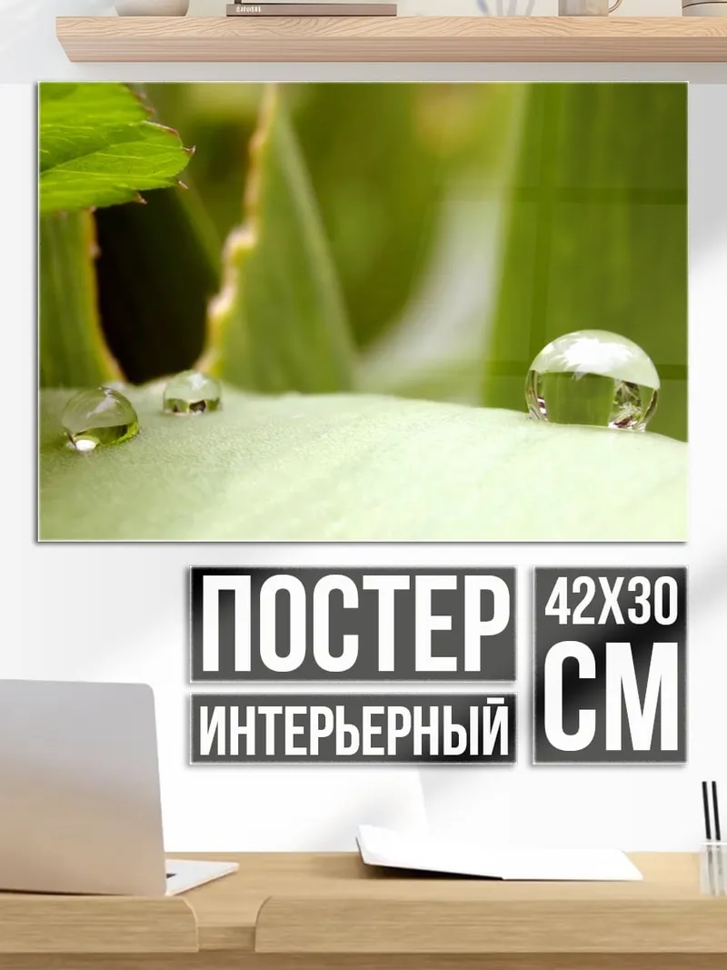 Постер Капля росы