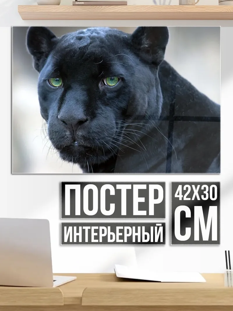 Постер Черная пантера