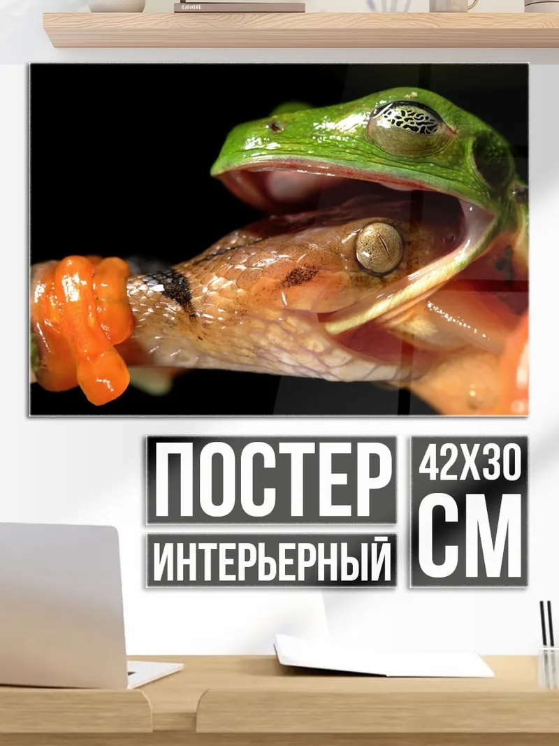 Постер Лягушка ест ящерицу