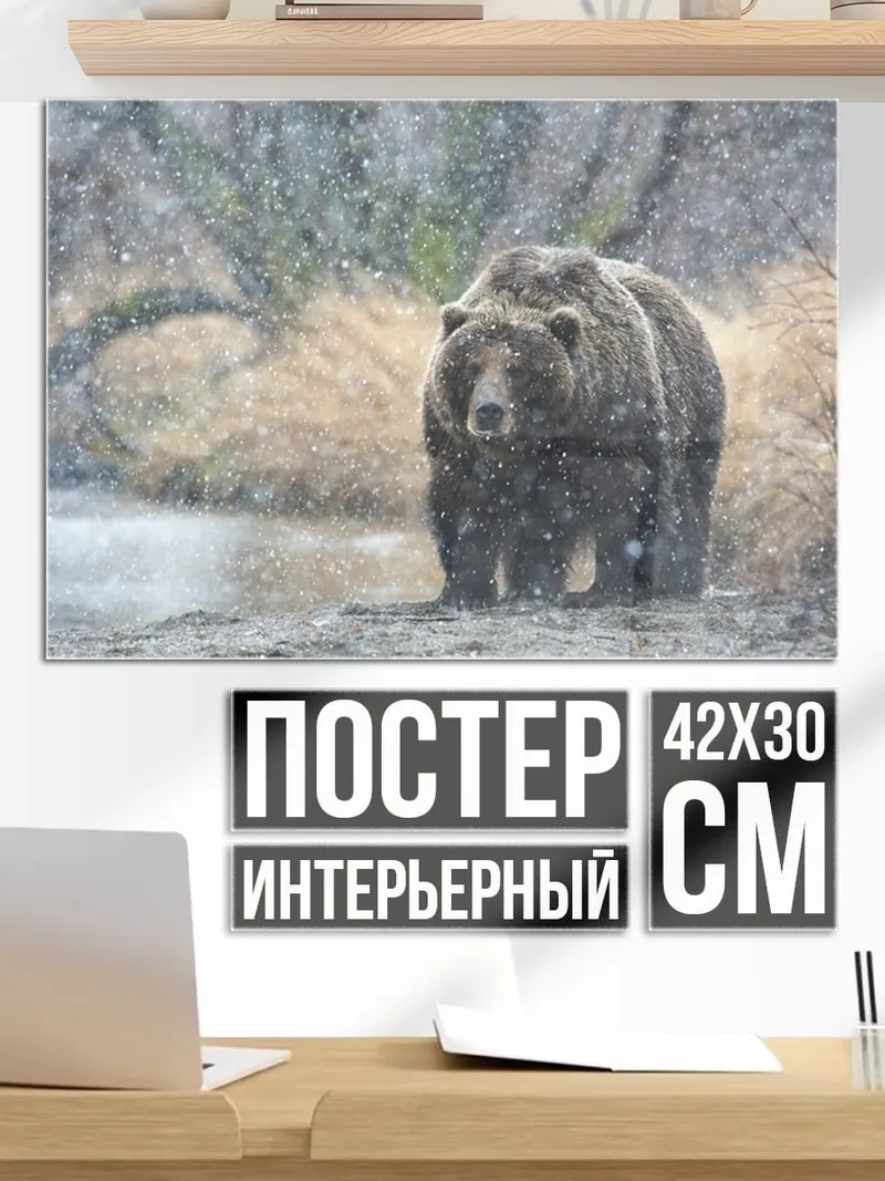 Постер Медведь в снегу