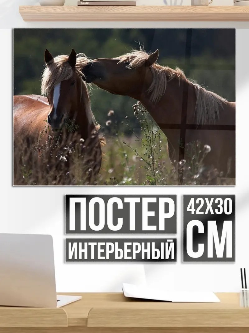 Постер Две лошади в поле
