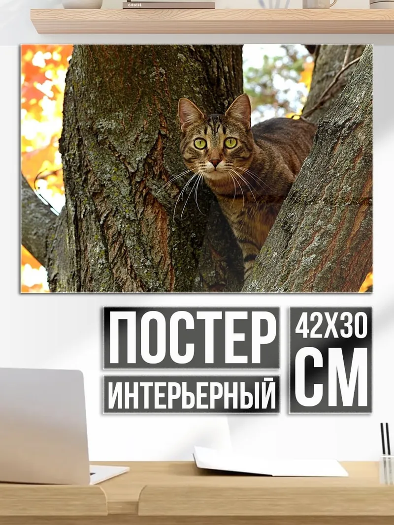 Постер Кот на дереве