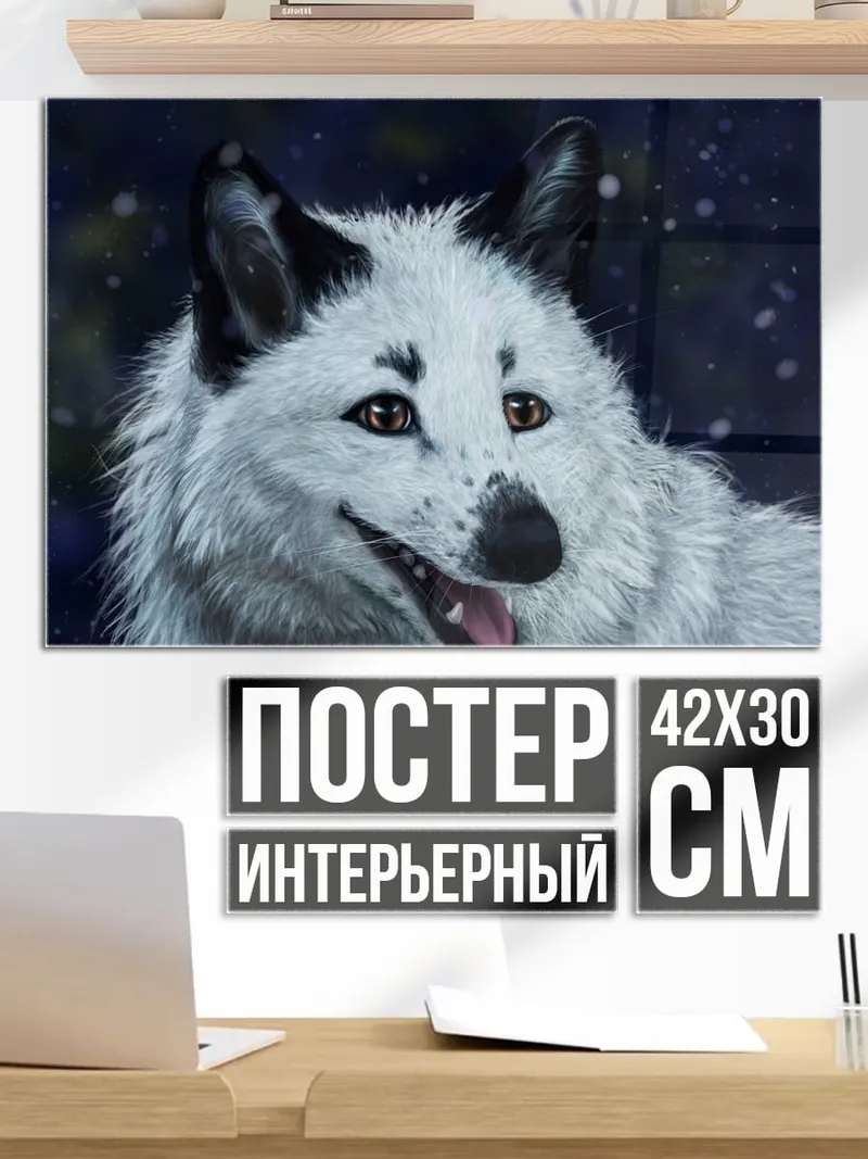 Постер Белый волк