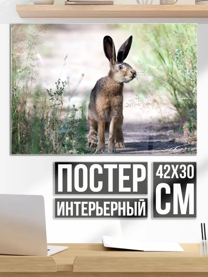 Постер Заяц на тропе