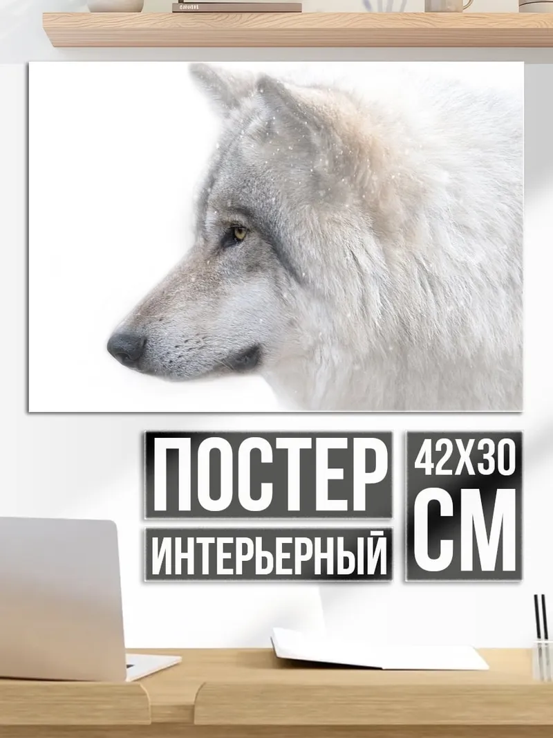 Постер Белый волк