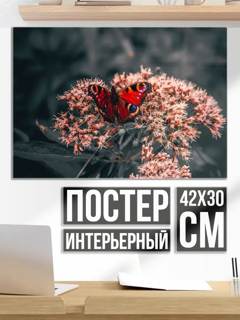 Постер Бабочка на цветке