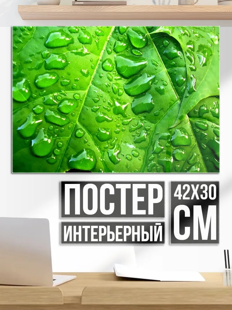 Постер капли на листе