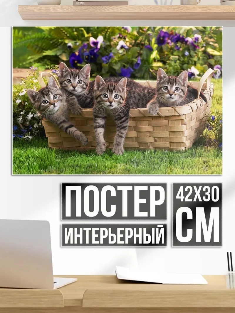 Постер котята в корзине